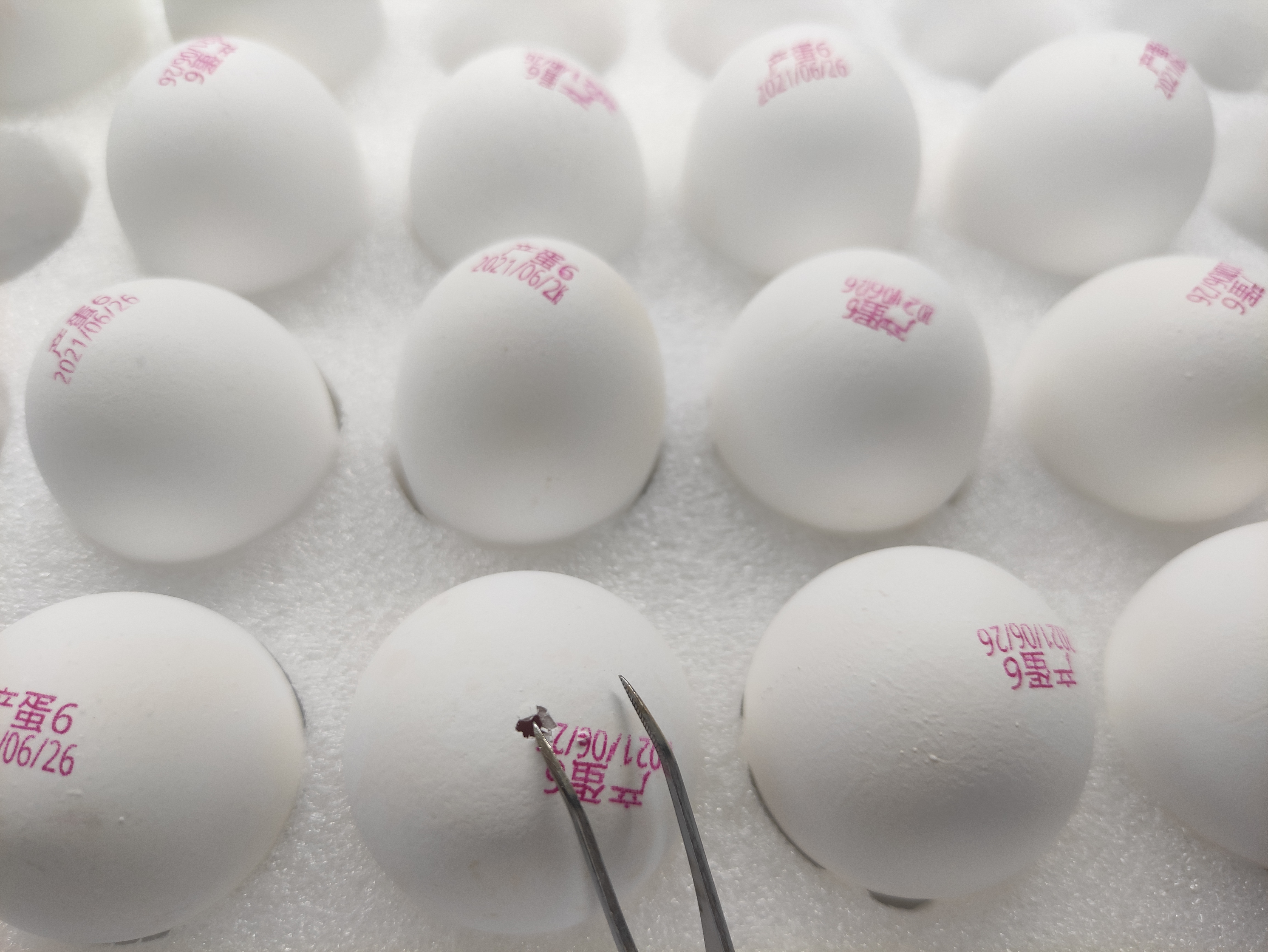 日化防腐劑廠家售后服務(wù)