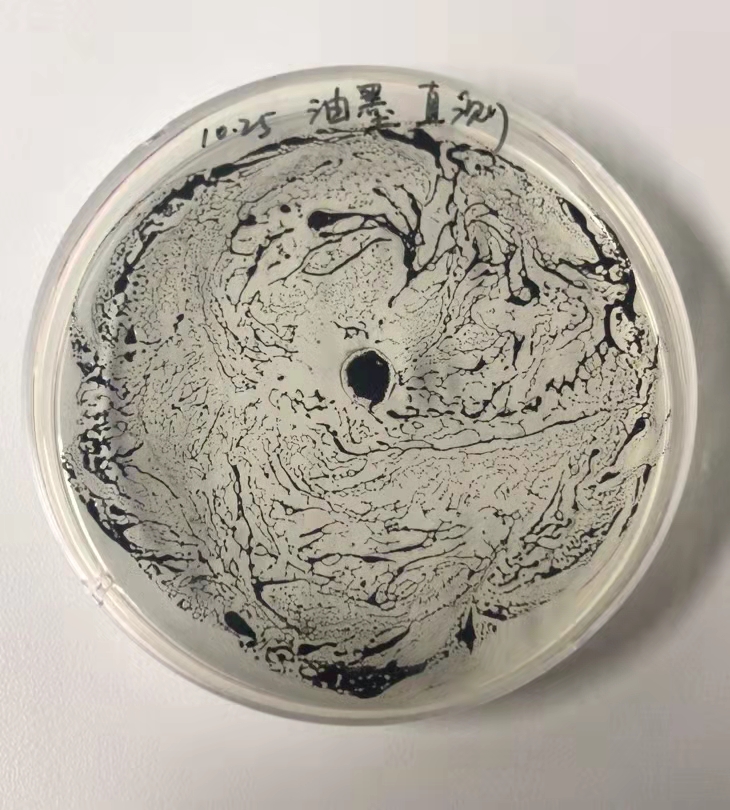 1a304d64c9cf531968951601e8f7440 1a304d64c9cf531968951601e8f7440