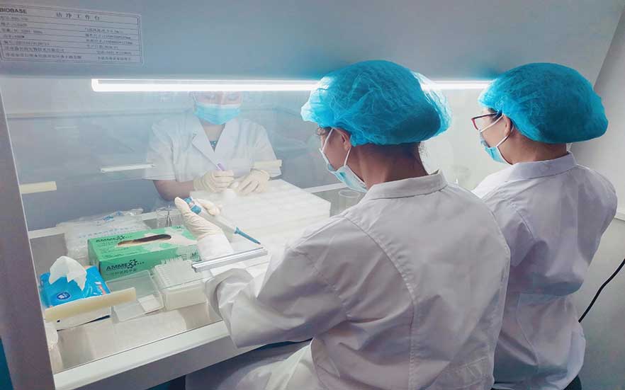 CAMVA刺激性實驗