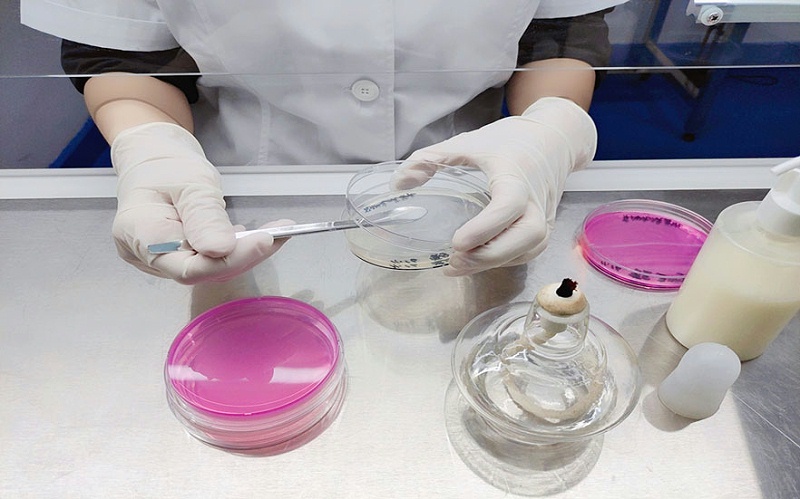 微生物挑戰性試驗